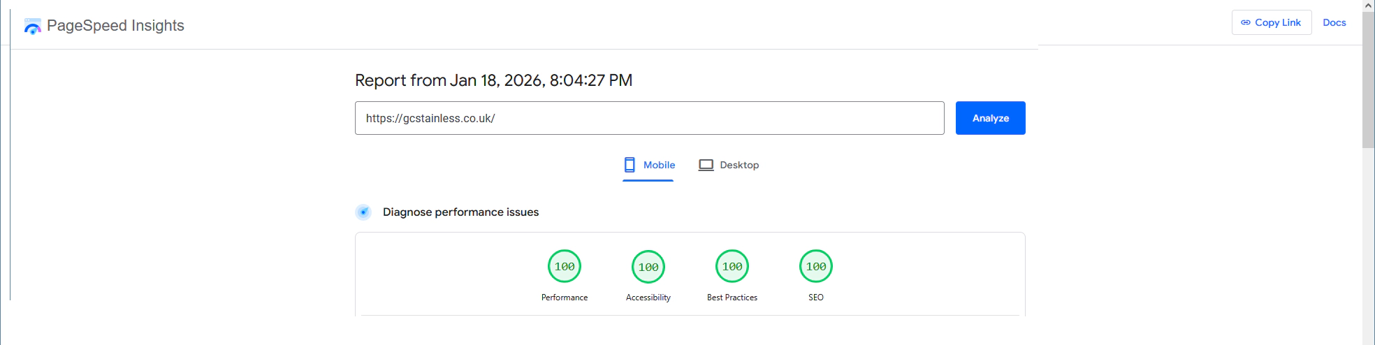 WDNet New Pagespeed Report